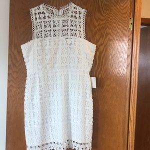 Lulus white dress